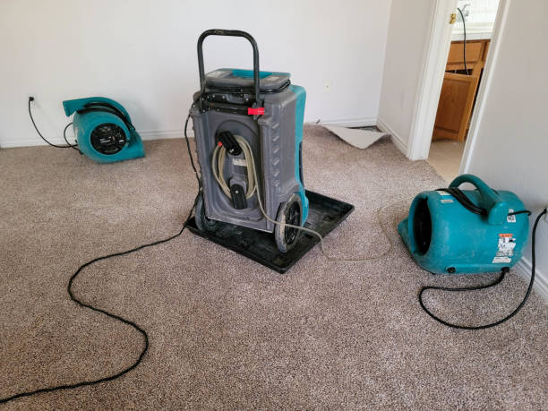 Best Mold removal after water damage  in Athens, TN