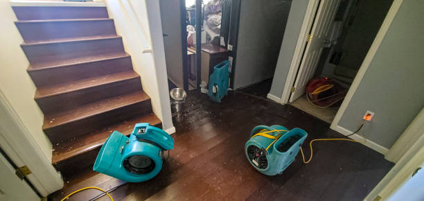 Best Residential water damage restoration  in Athens, TN