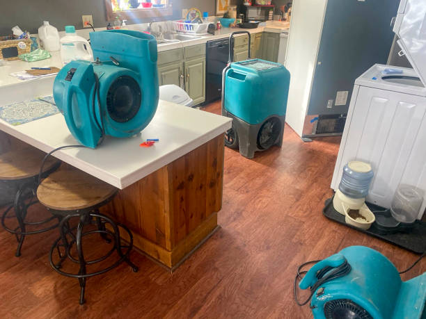 Best Water damage restoration near me  in Athens, TN