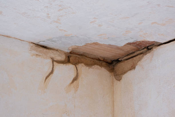 Best Residential water damage restoration  in Athens, TN