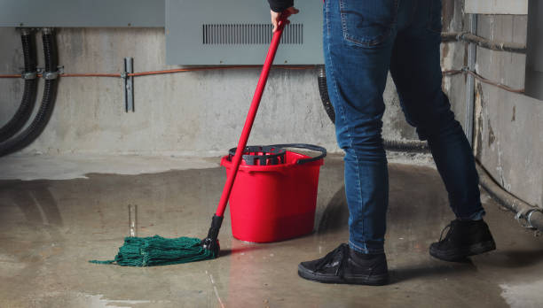 Best Carpet water damage restoration  in Athens, TN