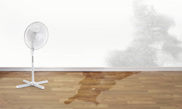 Best Water damage restoration near me  in Athens, TN