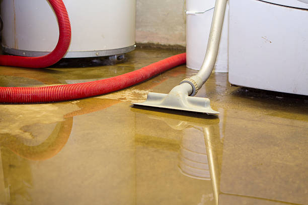 Best Flooded house restoration  in Athens, TN